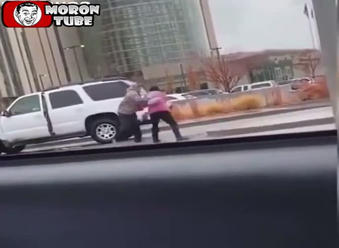 Video :A protester's attempt to block an automobile backfires